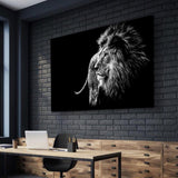 Black & White Lion