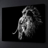Black & White Lion