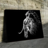 Black & White Lion