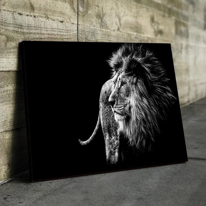 Black & White Lion