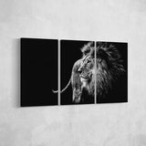 Black & White Lion