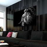 Black & White Lion