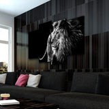 Black & White Lion