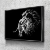 Black & White Lion