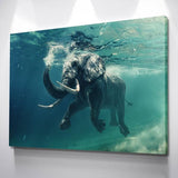 Elephant Swimming Canvas - eBazaart