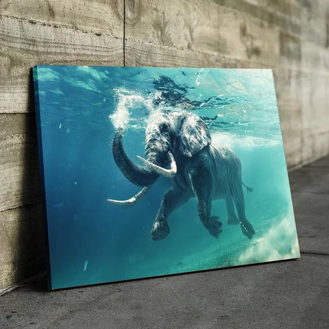 Elephant Swimming Canvas - eBazaart