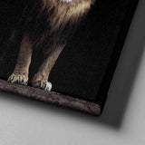 Majestic Lion Canvas - eBazaart
