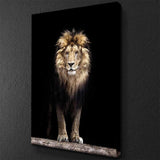 Majestic Lion Canvas - eBazaart